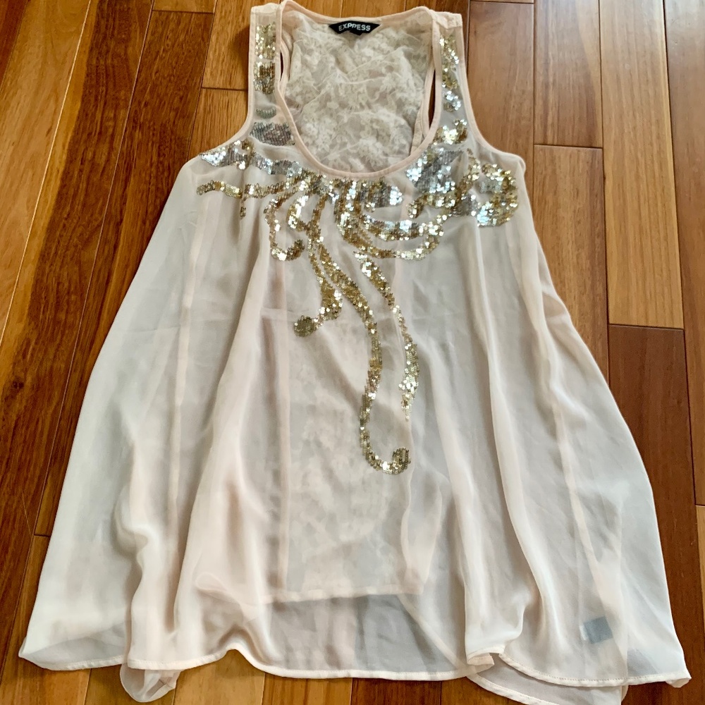 Express Seuqin Sheer Top Size Small